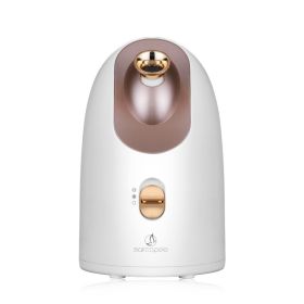 Hot and cold face steamer (Option: US)